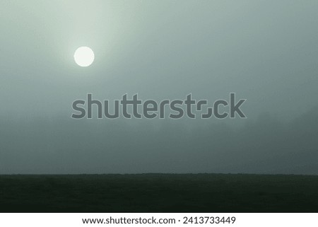 Morning sun in a foggy landscape, sun and horizon, natural background for text, color photo