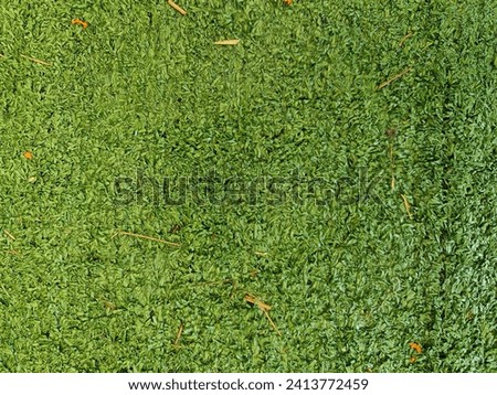 Green rubber flooring for home and garden decoration