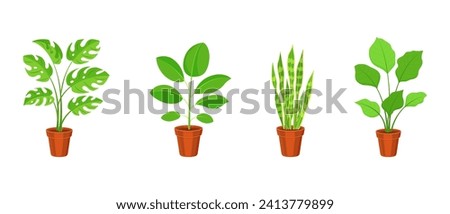 Set of indoor plants in flower pots. Vector illustration of ficus, sansevieria and calathea in flat style Royalty-Free Stock Photo #2413779899