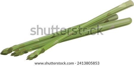 clip art of fresh asparagus