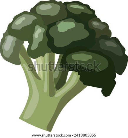 clip art of fresh broccoli