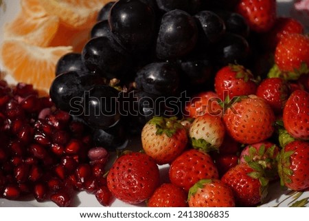 fruits Royalty free stock image.