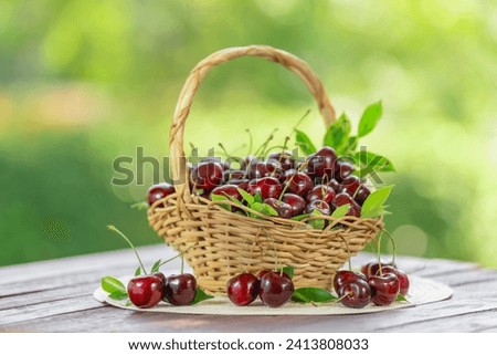Red Cherry fruit in wooden basket on wooden table in garden, Red Cherry on blurred greenery background. Royalty-Free Stock Photo #2413808033