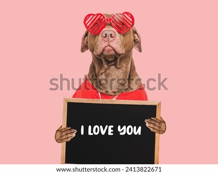 I Love You. Lovable dog and congratulatory inscription. Closeup, indoors. Studio shot. Congratulations for family, relatives, loved ones, friends and colleagues. Pet care concept Royalty-Free Stock Photo #2413822671