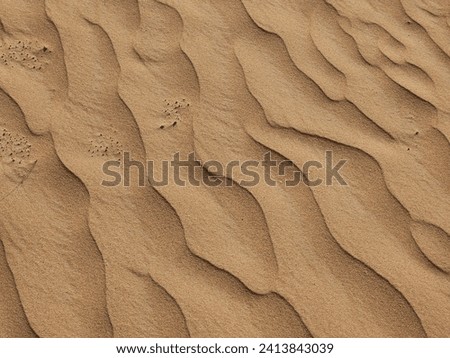 Spring sunset at the gates of the Sahara desert, with the sand dunes illuminated by the golden light, Tunisia, north Africa, As tax image isolated Nice background display Beautiful colourful HD Photo