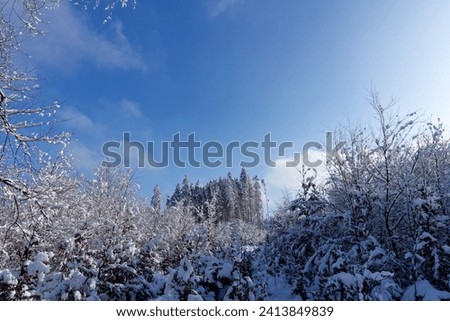 View of a frosty cold Bavarian winter landscape with lots of snow and icy trees and branches, blue sky with clouds, photos taken outdoors