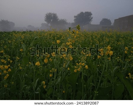 Wallpaper for iphone android windows a beautiful village view of punjab