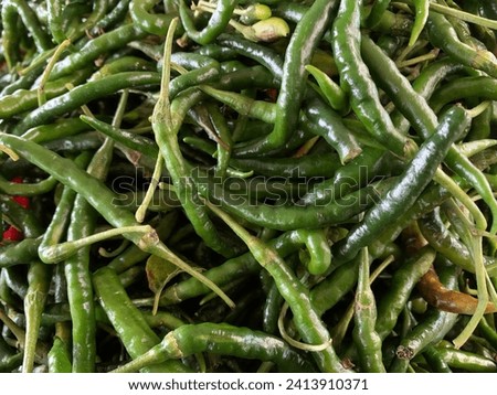 curly green chilies from Indonesia that many buyers are looking for