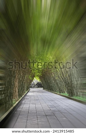 Peaceful bamboo covered walkway through the Wangjianglou Park in Chengdu,with copy space Sichuan province, China