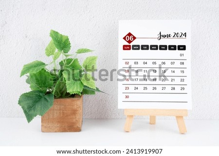 June 2024 calendar page and wooden plant pot on white table.