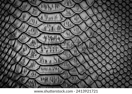 Black snake skin texture pattern can see the surface details use for background