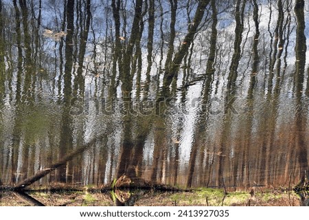 Abstract picture of the reflection of forest trees in the river during a spring flood