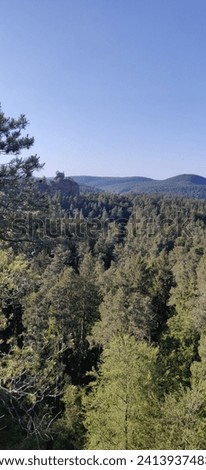 platinated Forest Pfalz Rock climbing Views Forest Summer. High quality photo Royalty-Free Stock Photo #2413937483
