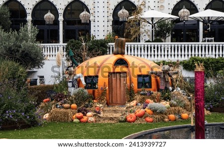 Beautiful Halloween decoration with orange pumpkis in the park or in the garden. High quality photo
