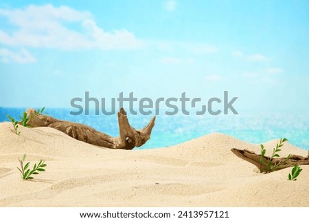Natural background with sand beach with dry tree branches and green grass. Behind is the sea and blue sky. Photo for advertisement with space to display product. Summer vacation at the beach