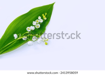 flowers lily of the valley on a light background. Spring landscape.  