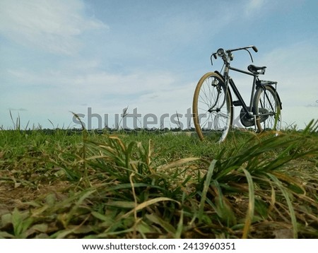 A picture of an old bicycle on land covered with green grass in a rice field area with a twilight sky as a background, location in Kebumen, Indonesia