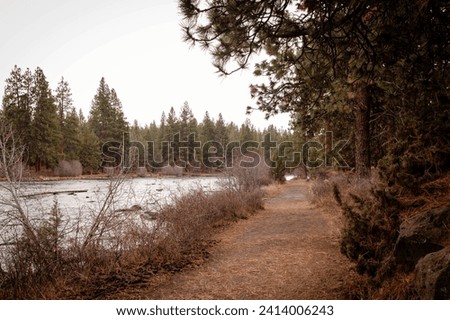 South Canyon Reach of Deschutes River Trail in Bend, Oregon. A popular hiking and running trail along a river in Bend, a town in Cascade Mountains