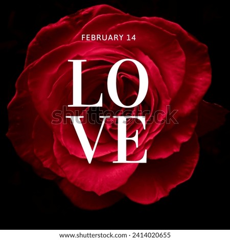 Love card valentines day Red Rose