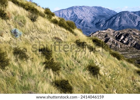 Lush Hills covered with grasslands and chaparral shrubs with rural mountains beyond on the foothills of the San Gabriel Mountains taken where the Mojave Desert and mountains meet in the Cajon Pass, CA Royalty-Free Stock Photo #2414046159
