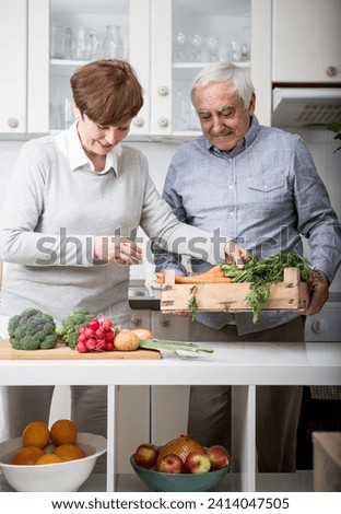 Senior couple standing in kitchen- unpacking fresh vegetables Royalty-Free Stock Photo #2414047505