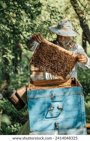 Russland- beekeeper checking frame with honeybees Royalty-Free Stock Photo #2414048325