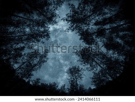 View of the stars and the Milky Way against the backdrop of the forest. Night starry sky over the forest.  Elements of this image furnished by NASA.