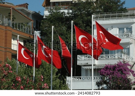 flag, Turkish Flag, house, trees, green