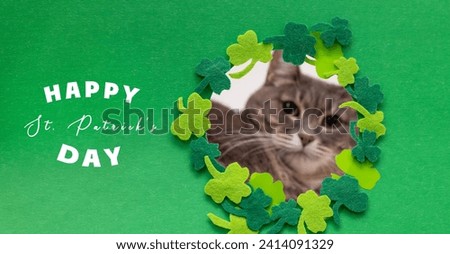 St. Patrick's Day postcard. The cat looks out of the clover frame. homemade postcard