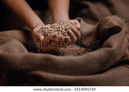 Professional worker hold green coffee beans on background jute bag in warehouse. Concept roaster factory for espresso. Royalty-Free Stock Photo #2414096769