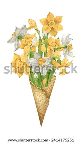 Delicate watercolor daffodils in a waffle cone. Floral commercial illustration. Spring garden flowers