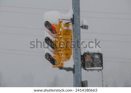 A stop sign in winter in the snow