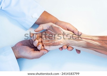 The orthopedic doctor or surgeon in uniform examined the patient with numbness of hand.Wrist pain in carpal tunnel syndrome with transparent anatomy of median nerve.Light effect on white background. Royalty-Free Stock Photo #2414183799