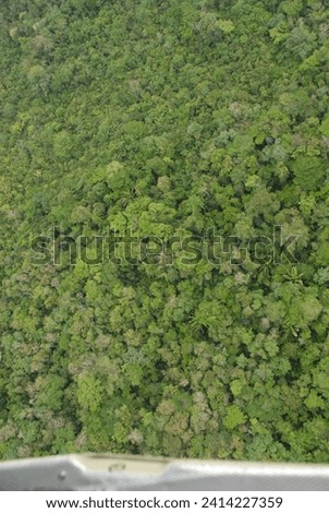 bright green view of the jungle rain forest canopy in Toledo District, Southern Belize, Central America with tree tops in lush green taken from a light aircraft