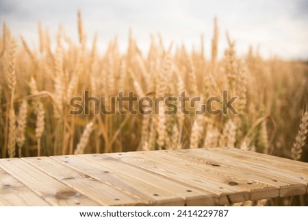 Wooden Plank Empty Table For Products Display With Blurred Wheat Field and Blue Sky Background. High quality photo
