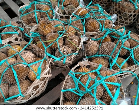 Group of fresh durians in the durian market. Royalty-Free Stock Photo #2414252591