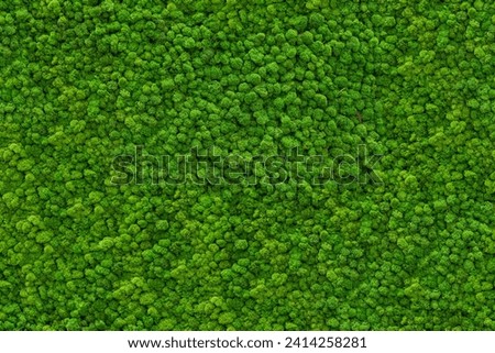 Seamless moss texture for wall decoration, wall mural, green for interior architecture, ambient wall material 2 Royalty-Free Stock Photo #2414258281