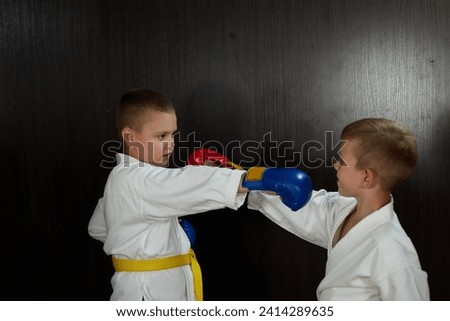 Two athlete boys in karategi with red and blue pads on their hands perform punches towards each other Royalty-Free Stock Photo #2414289635