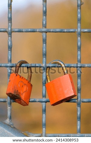 Red locks with heart chained to fence. Pair of locks as a symbol of love, solidarity and marriage on Valentine's Day