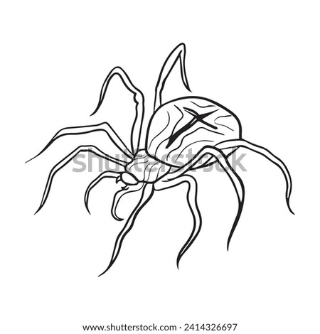 Vector illustration spider graphic design,art tattoo sketch,hand drawing,use in printing