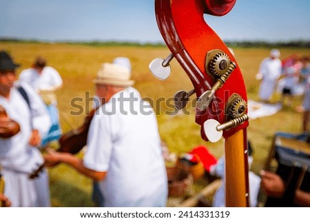 Close up shot on part of contrabass, headstock with tuning keys. Musician contrabassist plays double bass for happiness and success before farmers begin reaping grain manually in traditional rural way Royalty-Free Stock Photo #2414331319
