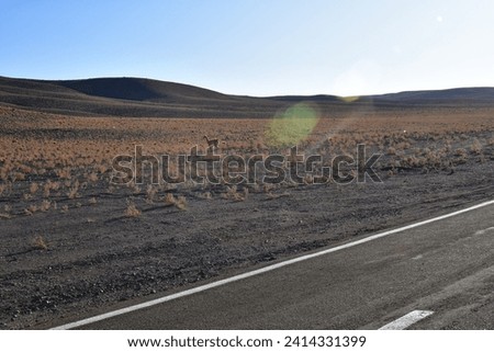 Lonely road curve desert bokeh chile South America. High quality photo Royalty-Free Stock Photo #2414331399