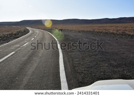 Lonely road curve desert bokeh chile South America. High quality photo Royalty-Free Stock Photo #2414331401