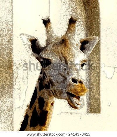 Head of Giraffe. Posture showing  as if it is telling, Listen me.                            