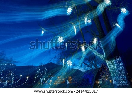 Christmas lights on public display