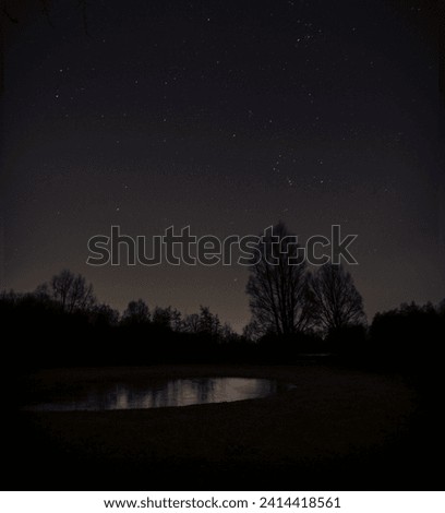 Small pond under a starry night