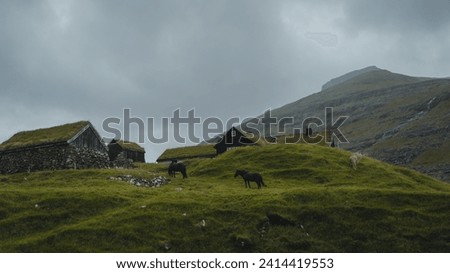 Landscape photography from our travel in the Faroe Islands in 2021