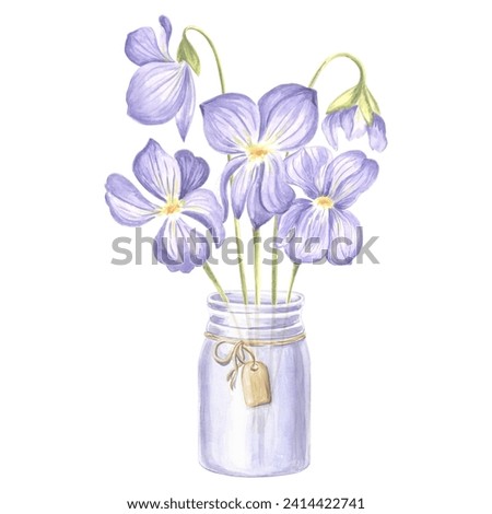 Watercolor bouquet of wild violet flower in glass jar with tag. Isolated hand drawn illustration of spring blossom. Floral template for card, packaging and tableware, textile and sticker, embroidery