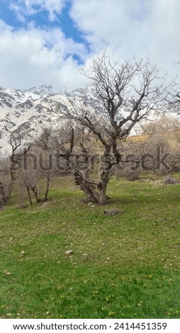 Hawraman Takht (Uraman Takht) in spring, a collection of unique nature and special beauties