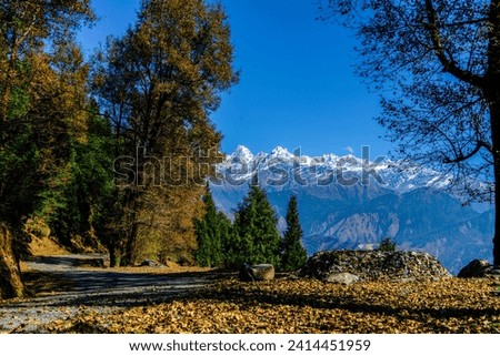 Mesmerizing view at Munsiyari, Uttarakhand, India. Royalty-Free Stock Photo #2414451959